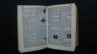 New Standard Pocket Dictionary