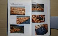 続・「多自然型川づくり」への取り組み:「日本の伝統的河川工法」-大井川からの発信
