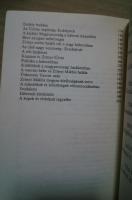 A Magyar Romlásnak Századában:Magyar História
