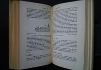 Comfortable Words-Modern Guideposts to the use of Easy,Simple and Colorful English