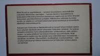 Veistän　pilkat pitkin puita-Kansanruno-kalevalan opetusopas