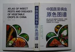 中国蔬菜病虫原色図譜
