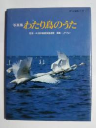 写真集　わたり鳥のうた：JPフォト自然シリーズ