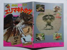 わくわく動物ランド 昭和レトロ ボードゲーム エリマキトカゲ エリマキトカゲ:わくわく動物ランド KODANSHA情報パック 24 | 講談社