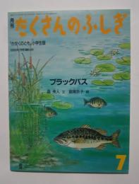 月刊たくさんのふしぎ　通巻16号　ブラックバス