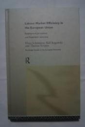 Labour Market Efficiency in the European Union: Employment Protection and Fixed Term Contracts (Routledge Studies in the European Economy)