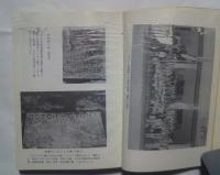 ジャガタラ閑話-蘭印時代邦人の足跡