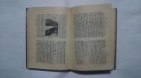 日光の今昔