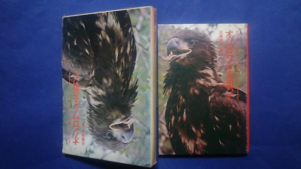 まぼろしの鳥―オジロワシを追って まぼろしの鳥オジロワシを追って:現代子どもノンフィクション