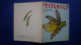 月刊たくさんのふしぎ　1985年9月号　バッタのオリンピック