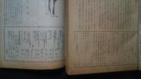 カリキュラム　1949年1月号-12月号内7月号欠