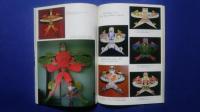 Chinese Kites-Traditional Chinese Arts and Culture