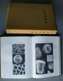 花粉学研究