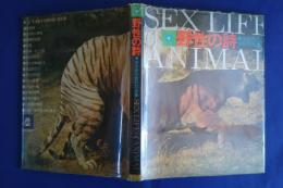 野性の詩　岩合徳光傑作写真集　SEX LIFE of ANIMAL