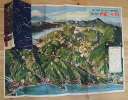 思い出に箱根の旅路　名所旅館も一目でわかる空から見た国立公園