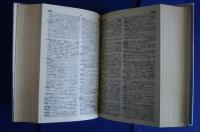 大独和辞典　Sagara Großes Deutsch-Japanisches Wörterbuch
