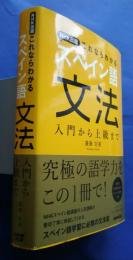NHK出版これならわかるスペイン語文法-入門から上級まで