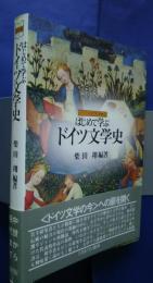 はじめて学ぶドイツ文学史:シリーズはじめて学ぶ文学史4
