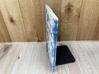 こねこのフェリーチェ