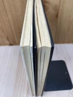 川柳村将軍塚の研究+金鎧山古墳の研究 復刻版