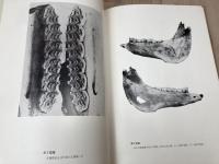 日本および東アジア発見の馬歯・馬骨