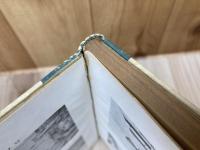 昭和9年 子供の見た歐羅巴