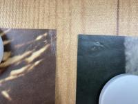 【立看映画ポスター】 私は死にたくない/スーザン・ヘイワード