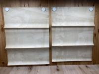 【立看映画ポスター】 私は死にたくない/スーザン・ヘイワード