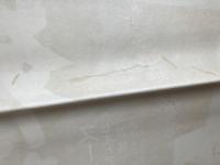 【立看映画ポスター】 私は死にたくない/スーザン・ヘイワード