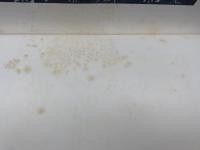 古琉球型紙　全【大型本/4冊組】