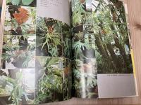 ガーデンライフ【1974-1976年】 不揃20冊