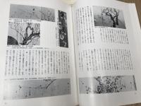 館蔵の紅白梅図屏風の筆者について 上下他【出光美術館 館報 77・78の2冊】