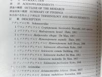 日本陸棚周辺の十脚甲殻類