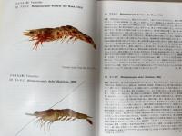 日本陸棚周辺の十脚甲殻類