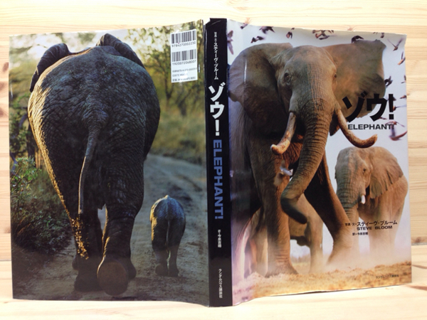 ゾウ Elephant 象 写真集 スティーヴ ブルーム 今泉吉晴訳 古本 中古本 古書籍の通販は 日本の古本屋 日本の古本屋