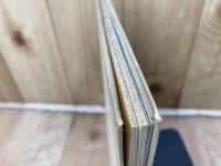 レオナール・フジタ近作集