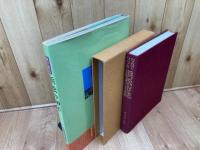 目で見る浜松の100年+写真でつづる浜松市誌100年の歩み