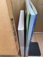 目で見る浜松の100年+写真でつづる浜松市誌100年の歩み