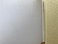 宝鑑　静岡浅間神社の文化財・社宝目録+御鎮座千百年祭記録集