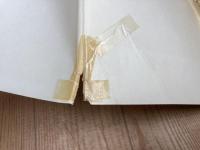 食虫植物　清水清写真集