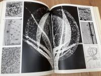 食虫植物　清水清写真集