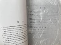 袴狭遺跡内田地区発掘調査概報