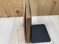 徳川家康替玉説【東照公三百五十年祭記念出版】