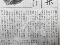 写真集 鞍馬天狗 角兵衛獅子【嵐寛寿郎 研究会】+1