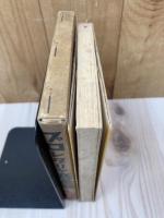 プロレタリヤ恋愛観　如何に新しく恋愛すべきか