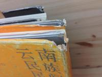 雲南民族民間芸術　上下揃　中文