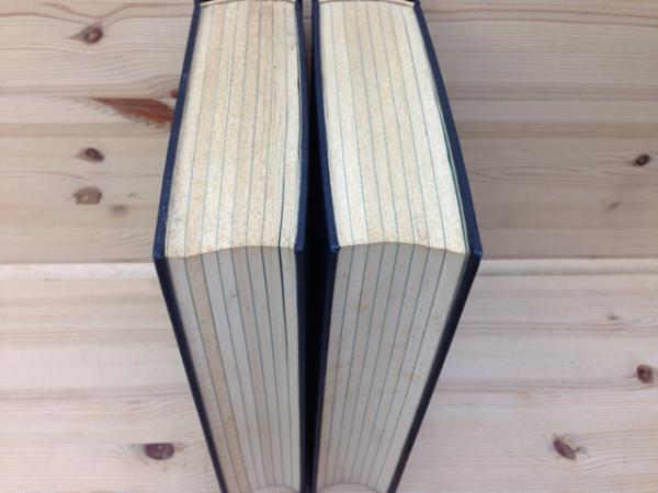 漢訳対照 梵和大辞典 全16冊の合本(荻原雲来編纂) / 古本、中古