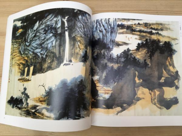 NEWモデル 特別展 香港・梅雲堂所蔵 古本、中古本、古書籍 / 張大千の絵画 図録