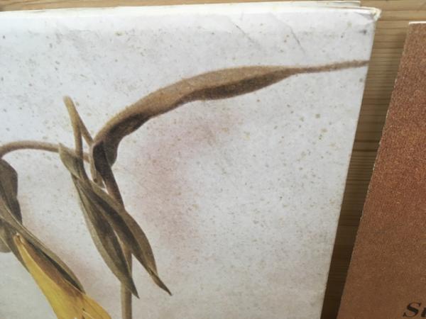 坂本龍一 楽譜集 Limited Access Series(やのミュージック, 本本堂