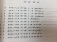 駿府城三の丸跡・駿府城内遺跡　発掘調査報告書